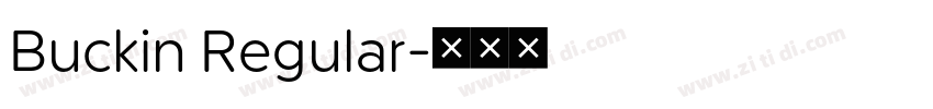 Buckin Regular字体转换